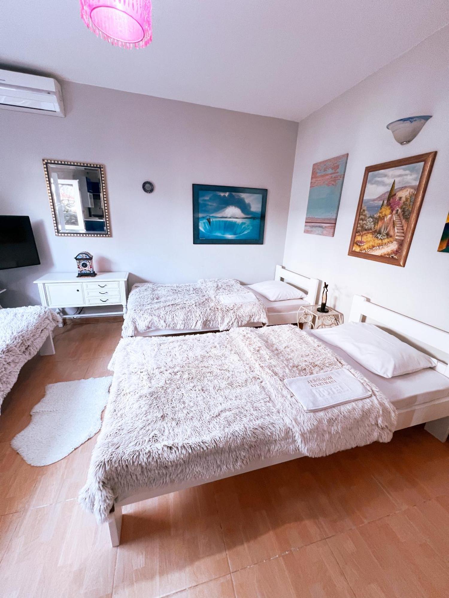 Apartments Aerodrom พอดโกริกา ห้อง รูปภาพ